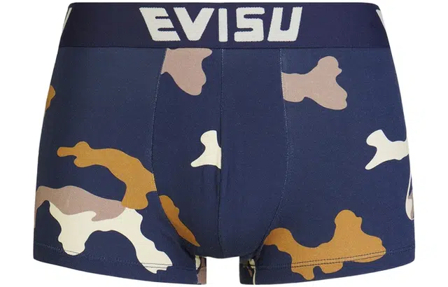 EVISU 2