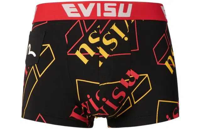 EVISU 2