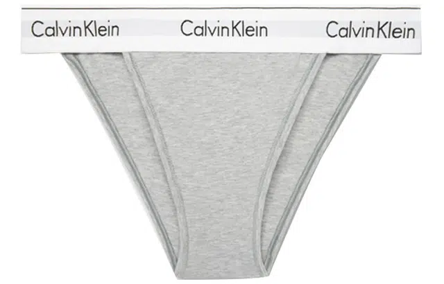 Calvin Klein Logo Briefs