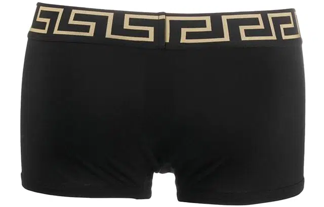 VERSACE Logo 13