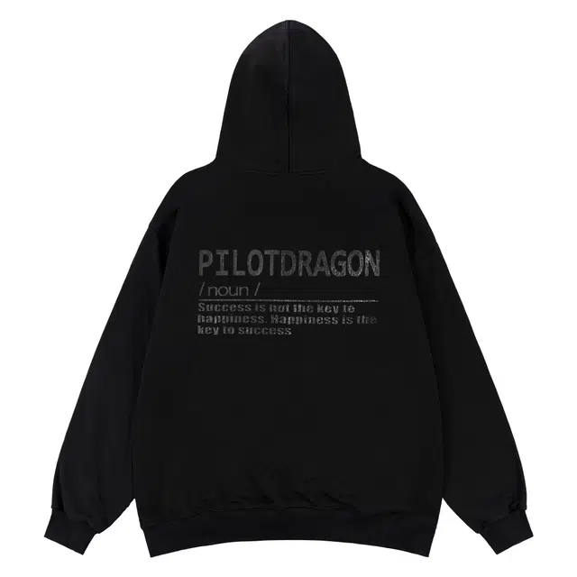 PILOTDRAGON PD 24FW logo