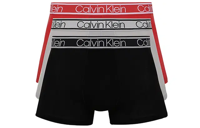 CKCalvin Klein Logo 3