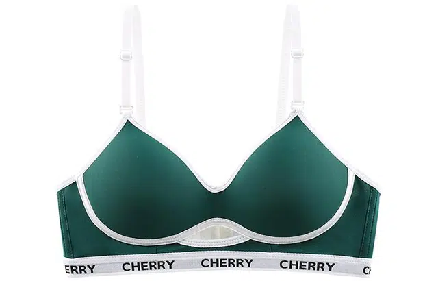 二三二三 字母简约舒适聚拢文胸 女款