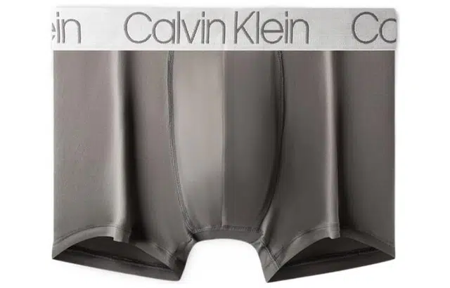 CKCalvin Klein Logo 3