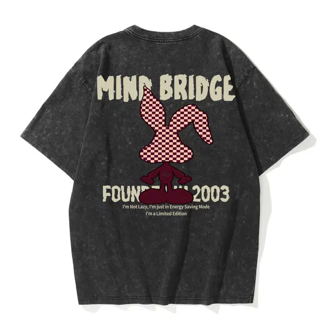 MindBridge T