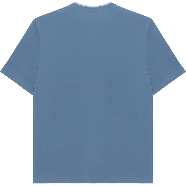 HERMES T