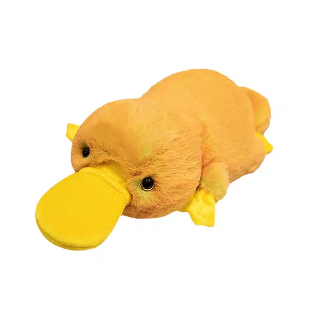 45cm
