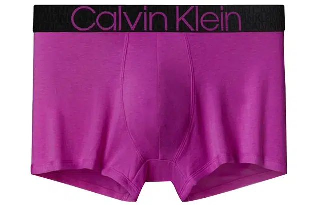 CKCalvin Klein Logo 1