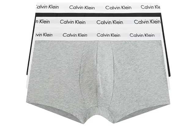 CKCalvin Klein Logo 3
