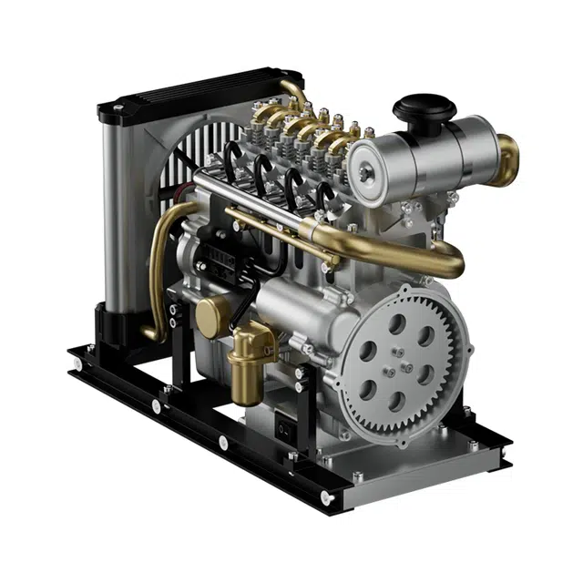 NIKOLA TOY x