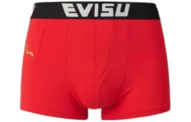 EVISU Logo