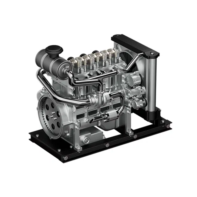 NIKOLA TOY x