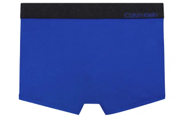 CKCalvin Klein Logo 1