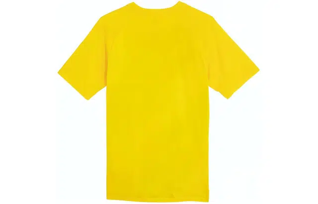 PUMA BVB PREMATCH T