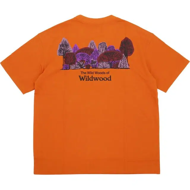 Nike NikeACG T