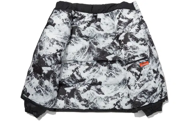 THE NORTH FACE FW23 Nuptse ON BALL