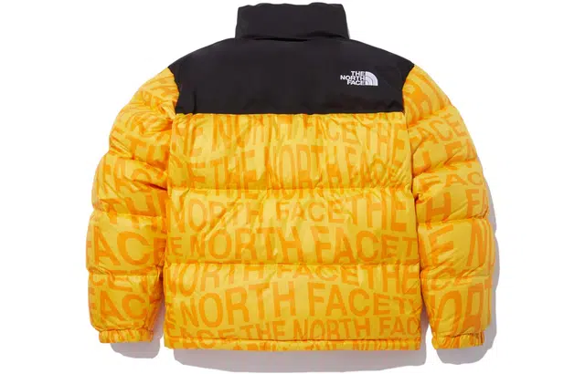 THE NORTH FACE Logo