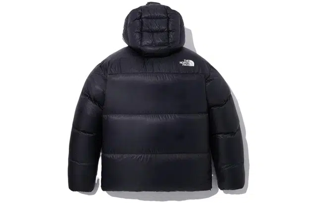 THE NORTH FACE FW23 Eco BARUNTSE DOWN Logo