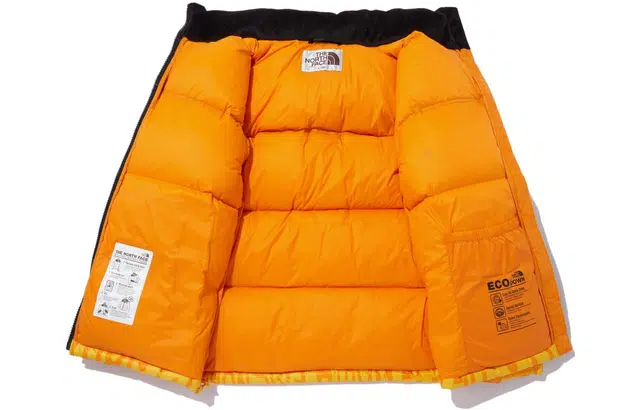 THE NORTH FACE Logo
