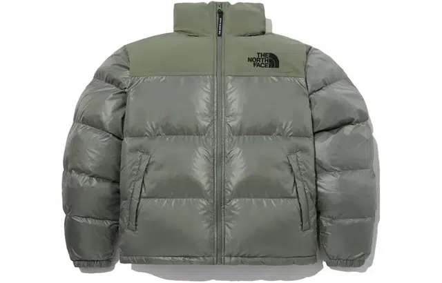 THE NORTH FACE FW23 Nuptse ON BALL