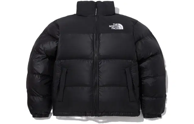 THE NORTH FACE FW23 Nuptse ON BALL