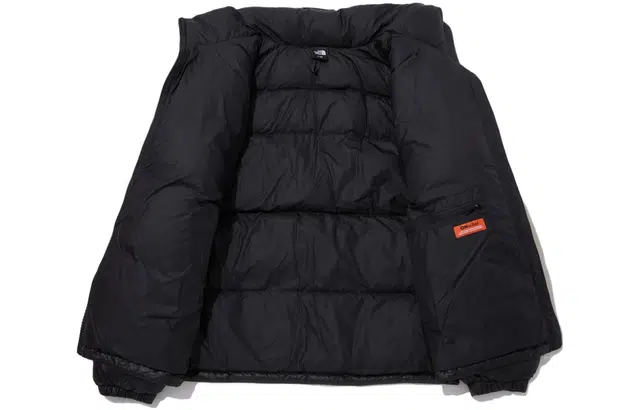 THE NORTH FACE FW23 Nuptse ON BALL