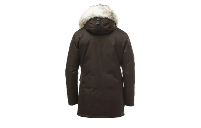 nobis Yves