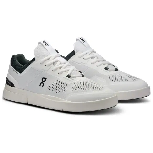 On THE ROGER Spin 2
