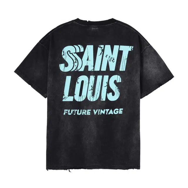 SSSAINT LOUIS LogoT