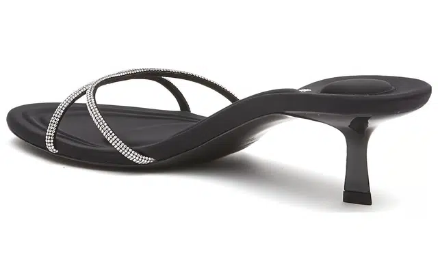 alexander wang