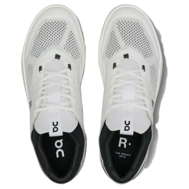 On THE ROGER Spin 2