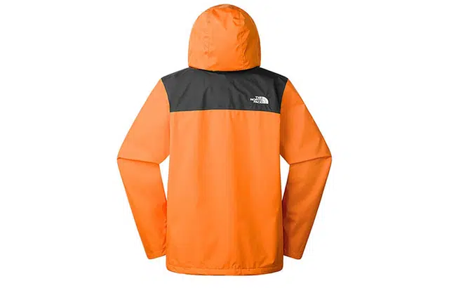 THE NORTH FACE Logo