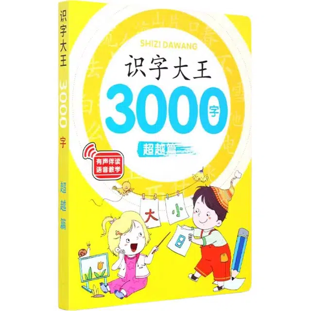 YSR 3000