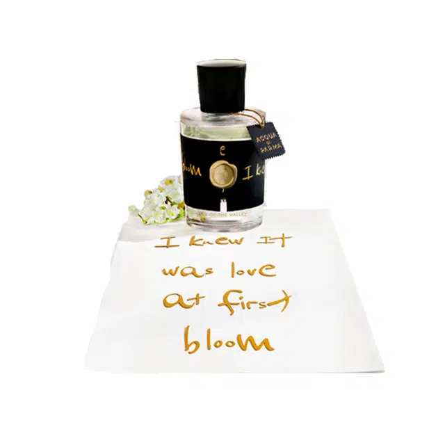 EDP 100ml