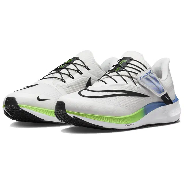 Nike Pegasus FlyEase
