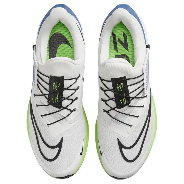Nike Pegasus FlyEase