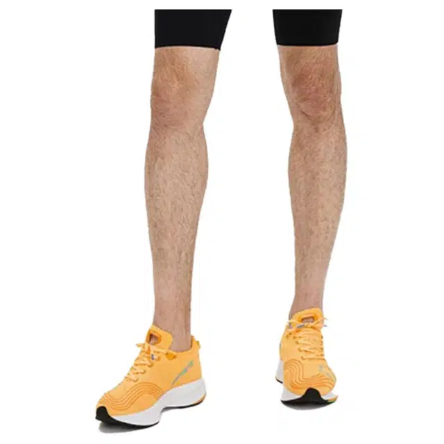 DESCENTE