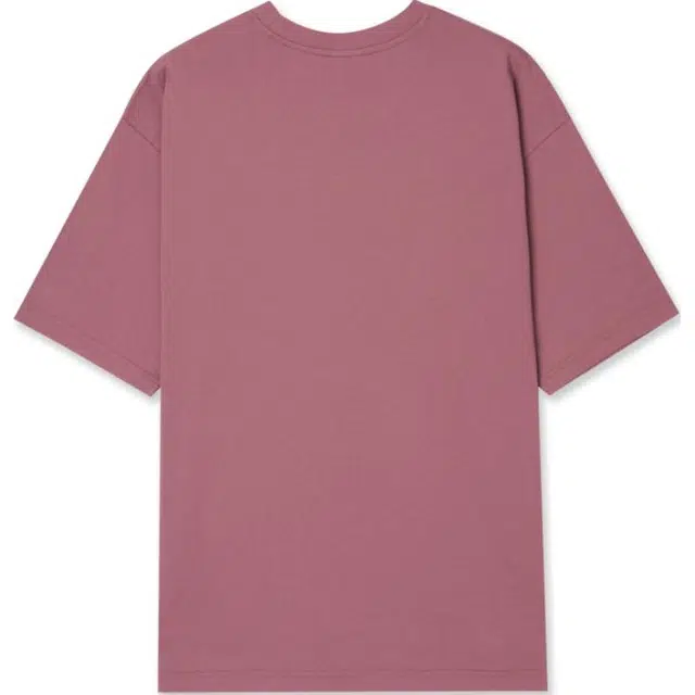 levis T