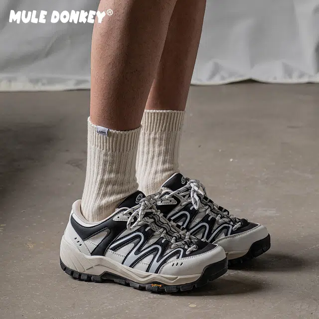 Mule Donkey