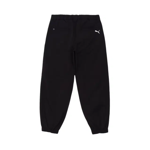 PUMA PC