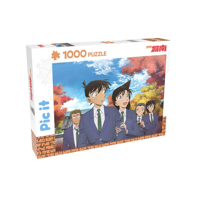 pic it 1000 pcs