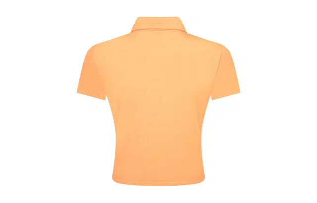 2(X)IST polo T