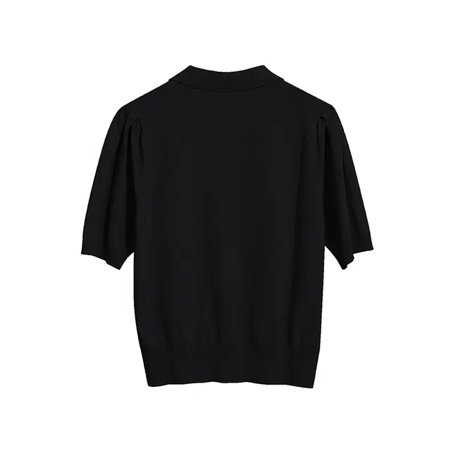AMII POLO