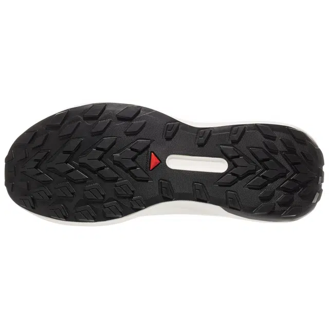 SALOMON GENESIS