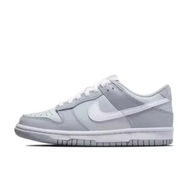 Nike Dunk Low Silver Swan