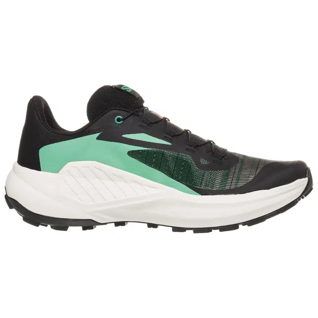 SALOMON GENESIS