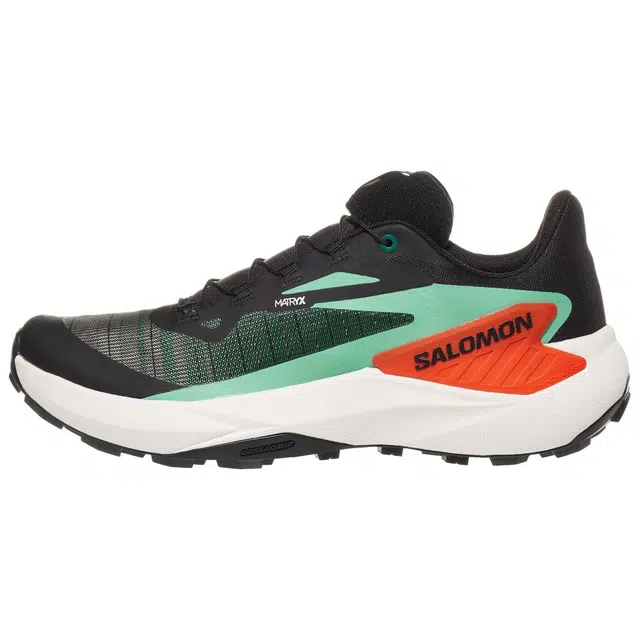 SALOMON GENESIS