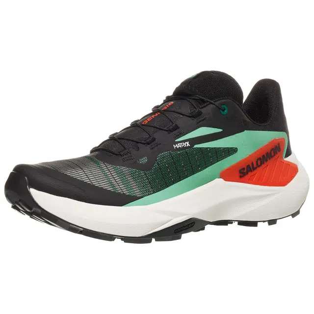 SALOMON GENESIS