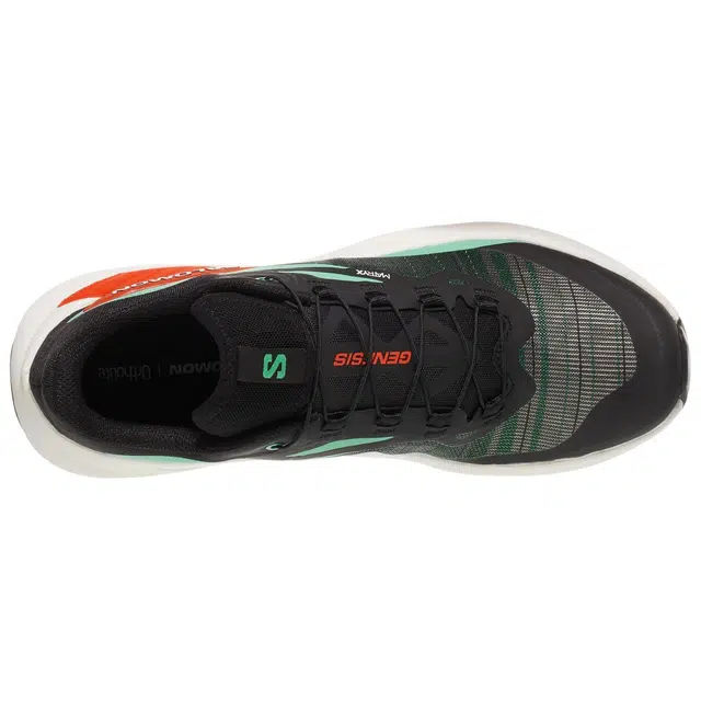 SALOMON GENESIS