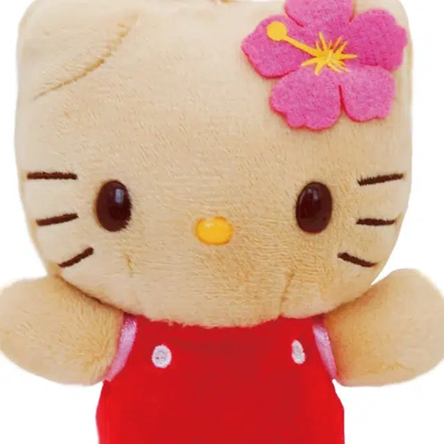 Sanrio Hello Kitty